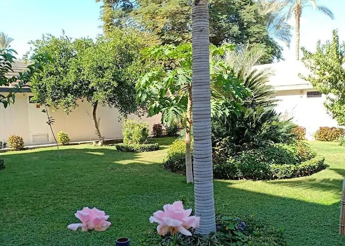 Tiba A F B View Apartment